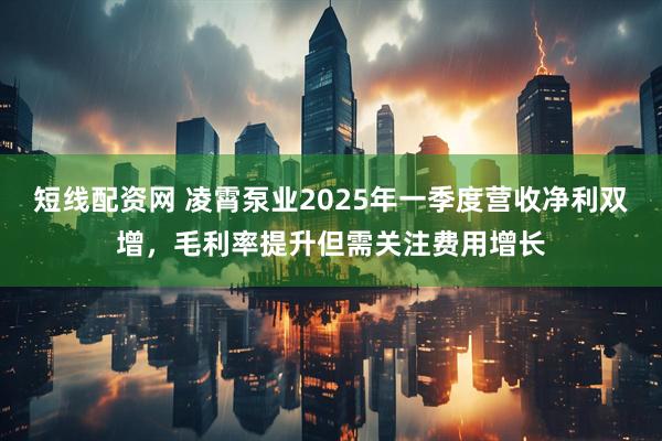 短线配资网 凌霄泵业2025年一季度营收净利双增，毛利率提升但需关注费用增长